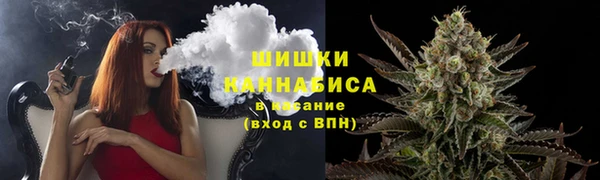 прущие грибы Абинск