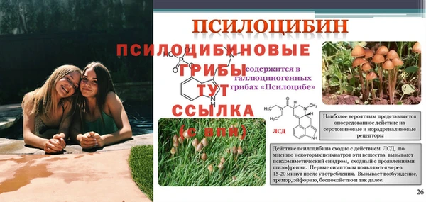 МДПВ Абдулино