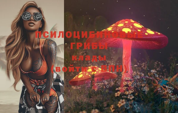 МДПВ Абдулино