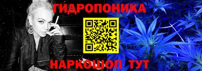 прущие крисы Донской