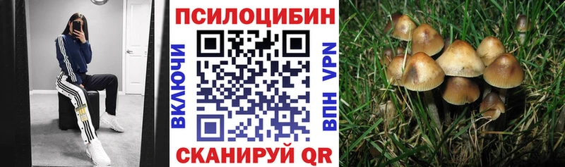 где найти наркотики  Нефтеюганск  Псилоцибиновые грибы Psilocybe 